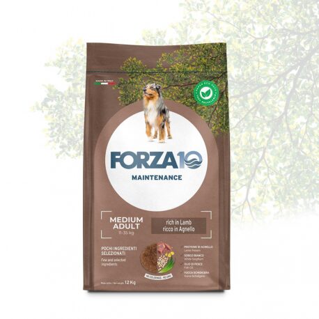 Forza 10 Dog Mantenimento Medium Adult Agnello 12kg